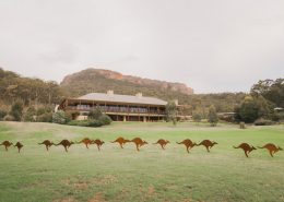 kangaroos, Wolgan Valley, Blue Mountains, One&Only Wolgan Valley, sculptures