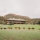kangaroos, Wolgan Valley, Blue Mountains, One&Only Wolgan Valley, sculptures
