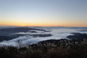 Mt Kuruhi, Kinosaki Onsen, Visit Kinosaki, Japan, Spa town, view, sea of cloud,