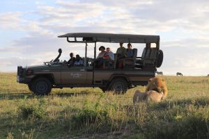 Serengeti, Tanzania, safari, Serengeti National Park, Nasikia Camps, Maasai Wanderings, Classic Safari Company