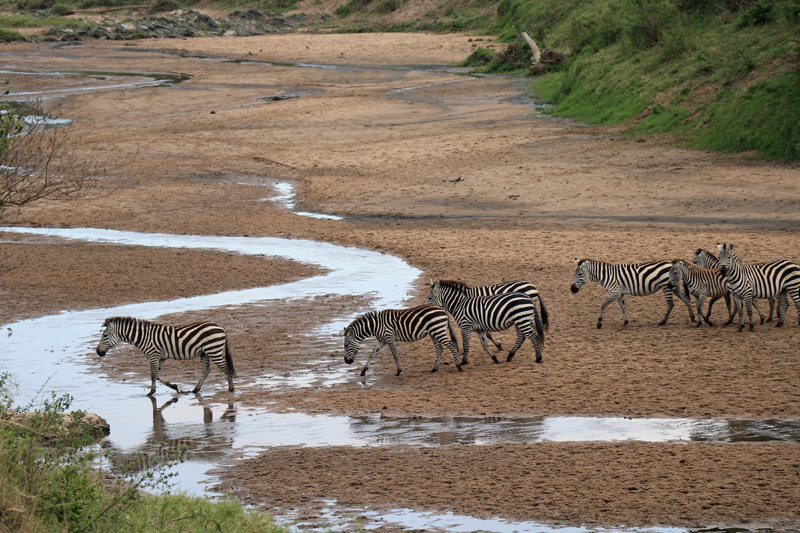 Serengeti, Maasai Wanderings, Nasikia Camps