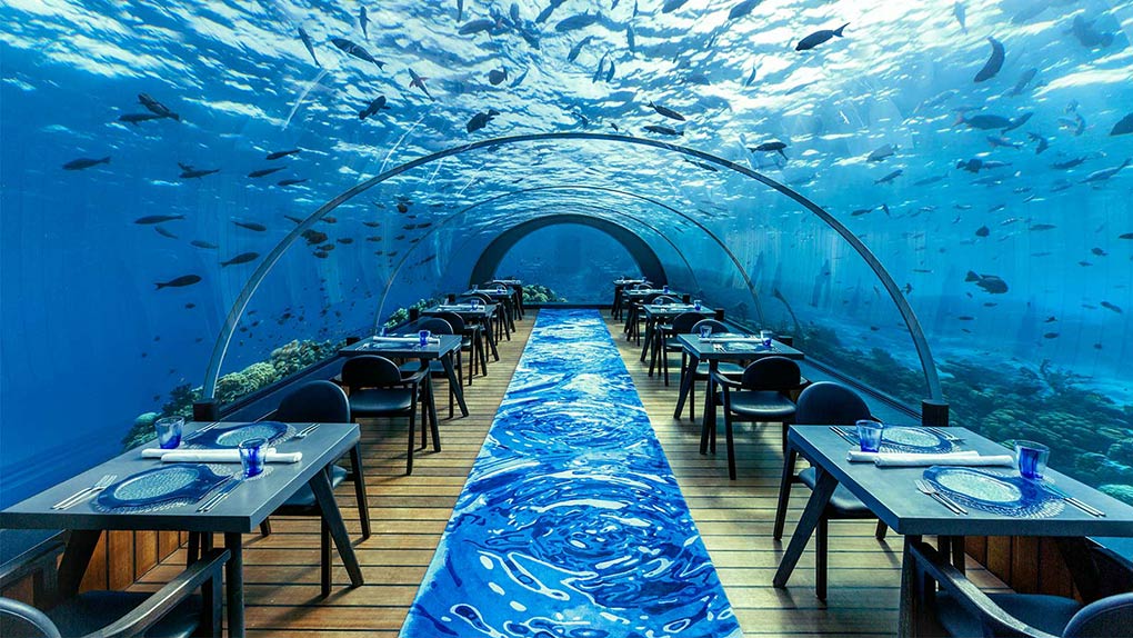 dining underwater, The Maldives, Hurawalhi, luxury underwater restaurant