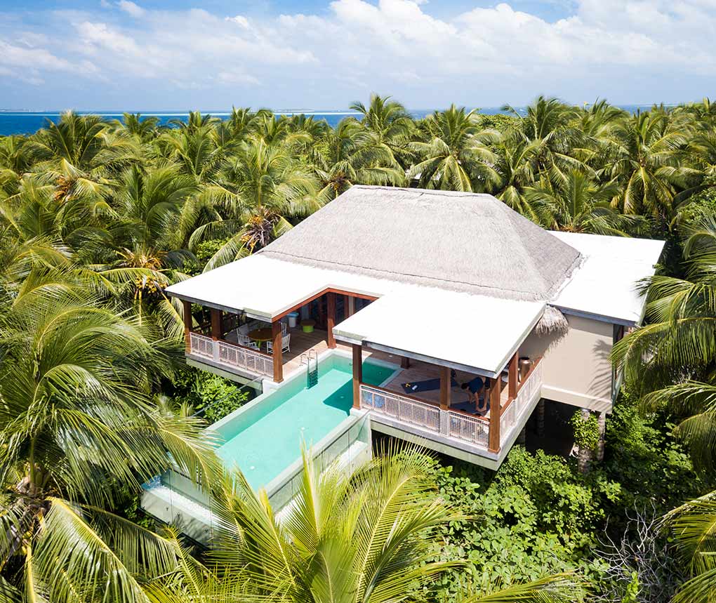 Amilla Fushi, treehouse, luxury treehouse, The Maldives