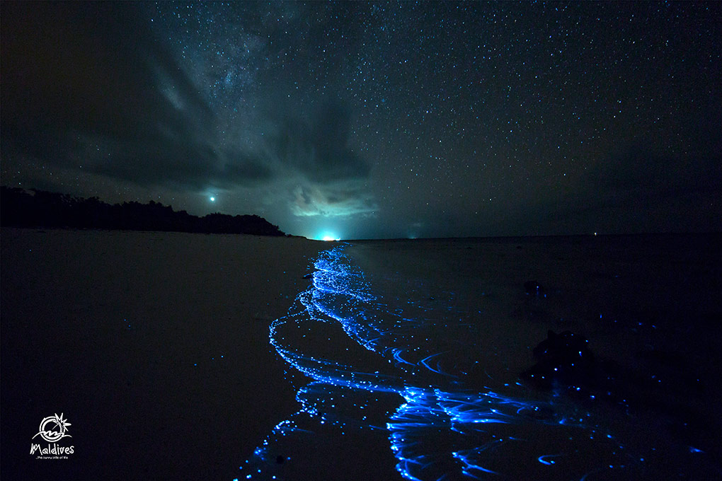 bioluminescence, The Maldives, 
